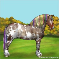 Horse Color:Painted White Spotted Silver Bay Ice Onyx Rabicano 