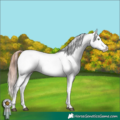 Horse Color:White Spotted Amber Champagne Varnish