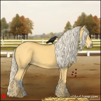 Horse Color:Palomino