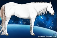 Horse Color:White Spotted Blue Roan Splash Frame Appaloosa 