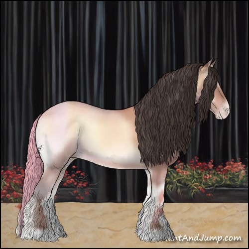 Horse Color:Amber Champagne Onyx