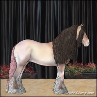 Horse Color:Amber Champagne Onyx 