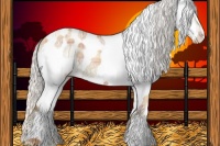 Horse Color:Plaid White Spotted Silver Classic Champagne Rabicano