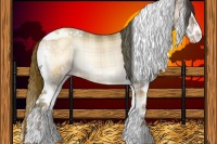 Horse Color:Plaid  Classic Champagne Onyx Splash Tobiano 