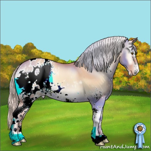 Horse Color:White Spotted Silver Sable Champagne Onyx Appaloosa 
