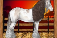 Horse Color:Classic Champagne Onyx Splash Tobiano 