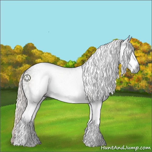 Horse Color:Gray White Spotted Silver Black 