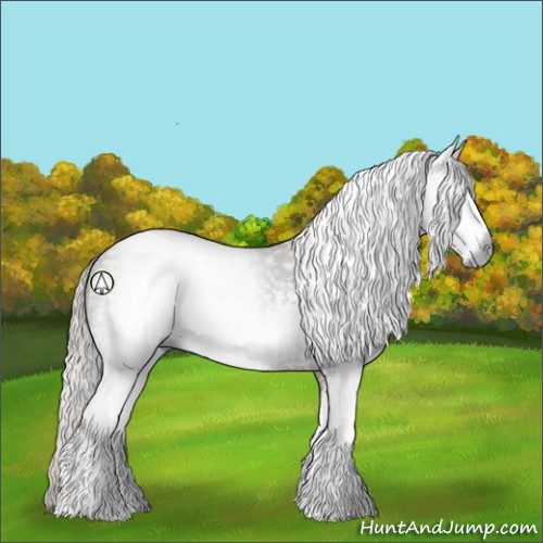 Horse Color:Gray White Spotted Silver Black 