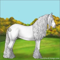 Horse Color:Gray White Spotted Silver Bay