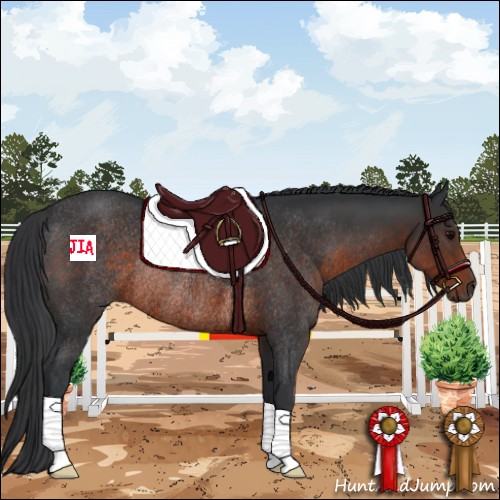 Horse Color:Brown Rabicano 
