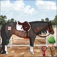 Horse Color:Brown Rabicano