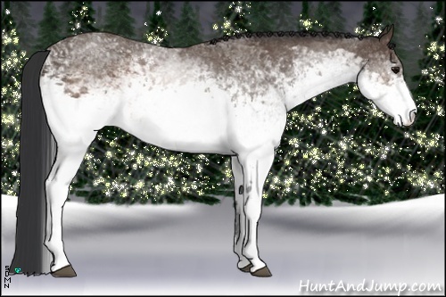 Horse Color:White Spotted Brown 