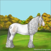 Horse Color:White Spotted Sable Champagne Tobiano 