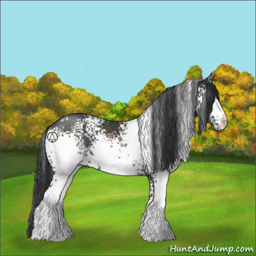 Horse Color:White Spotted Black
