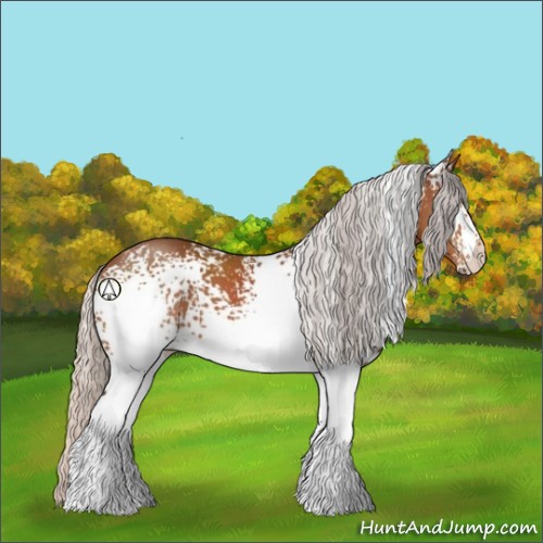 Horse Color:White Spotted Silver Brown 