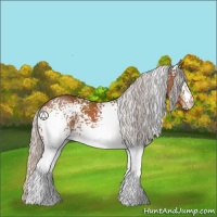 Horse Color:White Spotted Silver Brown 
