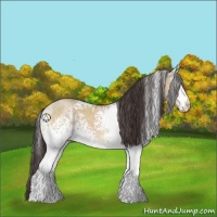 Horse Color:White Spotted Sable Champagne Dun 