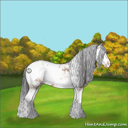 Horse Color:Sable Champagne Sabino