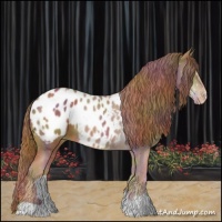 Horse Color:Nacre Chestnut Appaloosa 