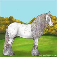 Horse Color:Nacre Plaid  White Spotted Silver Grullo Near Leopard Rabicano 