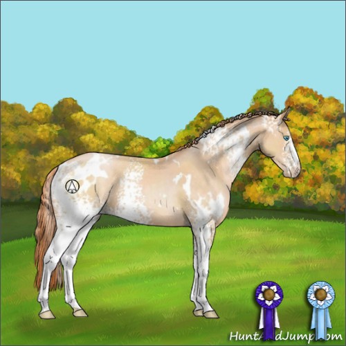 Horse Color:White Spotted Buckskin Pearl
