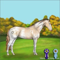 Horse Color:White Spotted Buckskin Pearl 