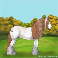 Horse Color:White Spotted Buckskin Pearl Dun 