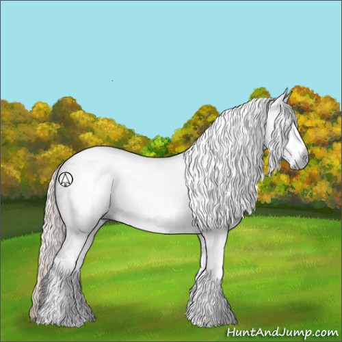Horse Color:Gray Silver Black Sabino