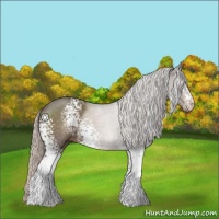 Horse Color:White Spotted Silver Black Sabino 