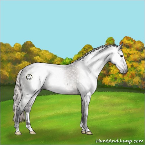 Horse Color:Gray Silver Black 
