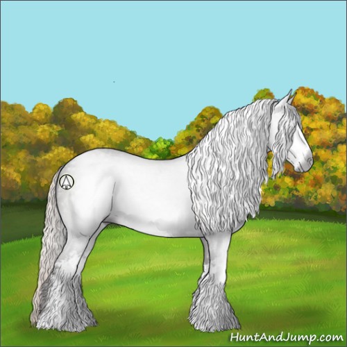 Horse Color:Gray Silver Black Sabino 