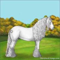 Horse Color:Gray Silver Black Sabino 