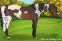 Horse Color:Silver Perlino Dun  and Buckskin 