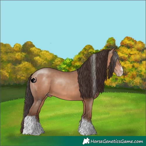 Horse Color:Sable Champagne Sabino Tobiano 