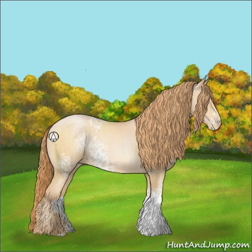 Horse Color:White Spotted Smoky Black Pearl