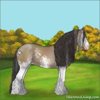Horse Color:White Spotted Classic Champagne 