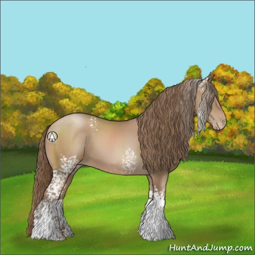 Horse Color:White Spotted Black Pearl