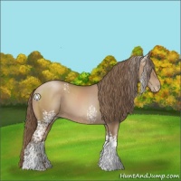 Horse Color:White Spotted Black Pearl 