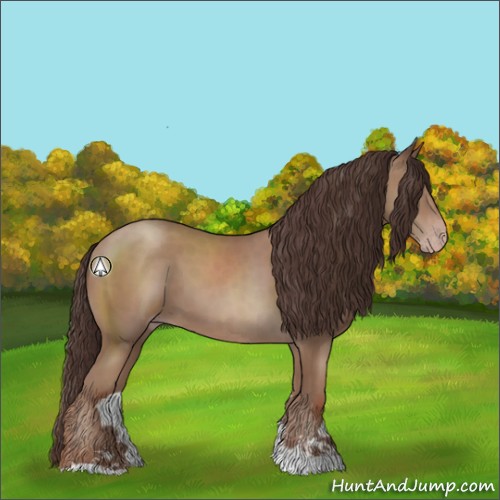 Horse Color:Classic Champagne Sabino