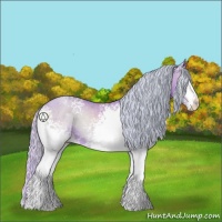 Horse Color:Watercolor White Spotted Silver Sable Champagne Onyx 