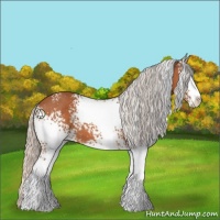 Horse Color:White Spotted Silver Bay Sabino 