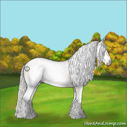 Horse Color:Gray Silver Sable Champagne Sabino 