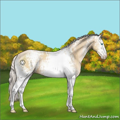 Horse Color:White Spotted Silver Smoky Black Pearl