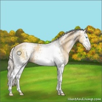 Horse Color:White Spotted Silver Smoky Black Pearl 