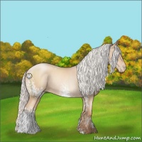 Horse Color:White Spotted Silver Classic Champagne Pearl Sabino Rabicano 