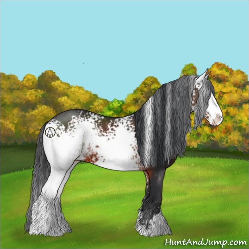 Horse Color:White Spotted Brown Sabino 
