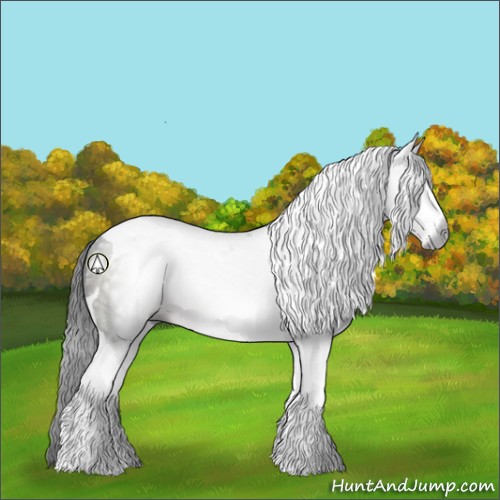Horse Color:Gray Brown Sabino Tobiano 