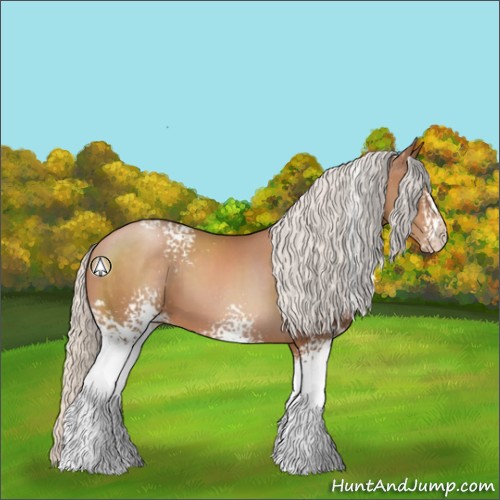 Horse Color:White Spotted Silver Brown Pearl Sabino 