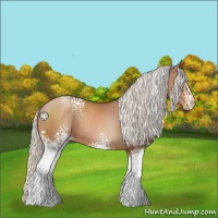 Horse Color:White Spotted Silver Brown Pearl Sabino