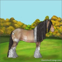 Horse Color:White Spotted Sable Champagne Sabino 